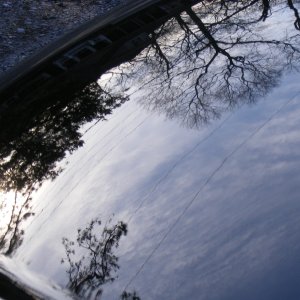 DSCF2656-1