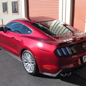 stang