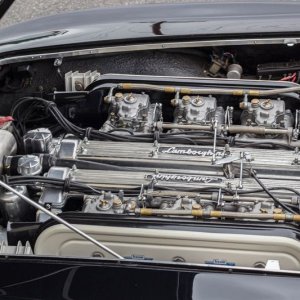 Competition Ready 1965 Lamborghini 350GT Mike Phillips Autogeek
