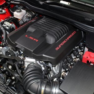 maloo1