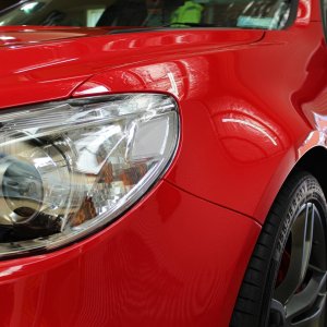 maloo19