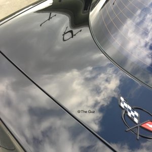 McKee's 37 Waterless Wash + Ech2o
