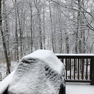 snow8