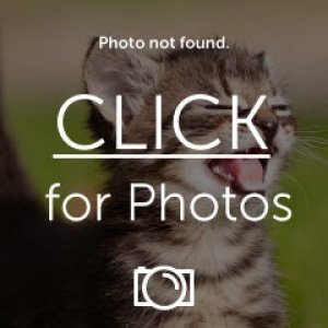 Photobucket1