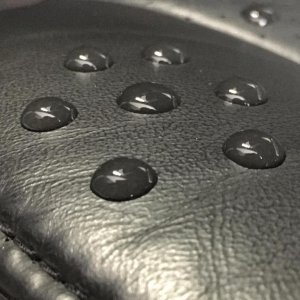15 Month Update