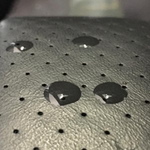 15 Month Update