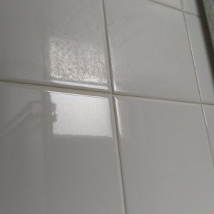 IMAG5218