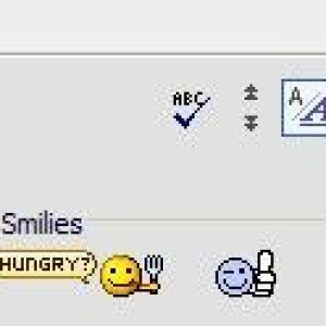 Expand Editor Code Spell Check Buttons
