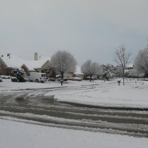 IMG_01905