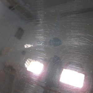 IMG_0750