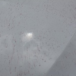 GTechniq W6 Iron and Fallout Remover Mike Phillips