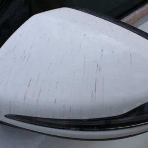 GTechniq W6 Iron and Fallout Remover Mike Phillips