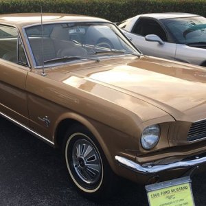 1966 Mustang Detailing Class with Mike PHillips