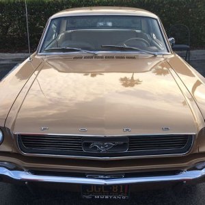 1966 Mustang Detailing Class with Mike PHillips