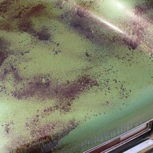GTechniq Citrus Foam and Iron Remover Mike Phillips