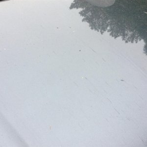 Hood before