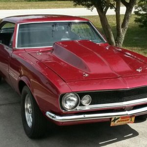 1967 Camaro Wetsand Cut and Buff with Mike Phillips