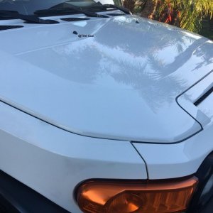 FJ_Final_2