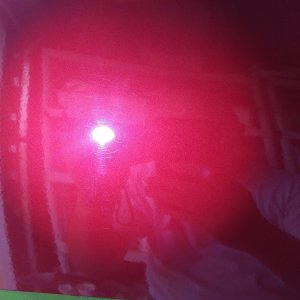 IMAG5345