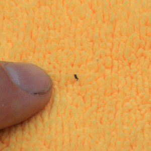 Inspect your microfiber towels when detailing cars