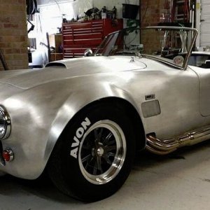 Alum_Cobra