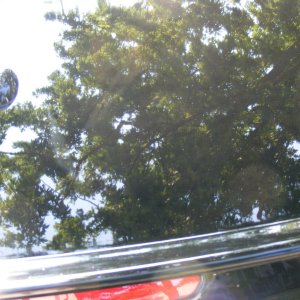 DSCF2707