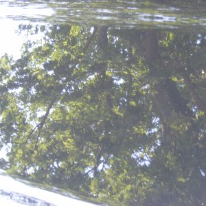 DSCF2698