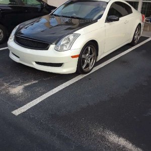 Gino_07