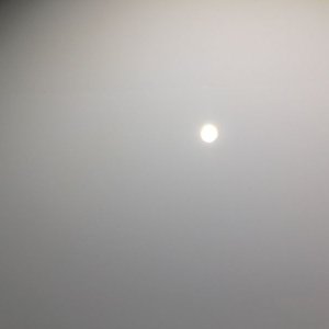 800_IMG_3214