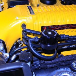 SONAX CC36 Ceramic Coating Supercharged Dodge Yellow Jacket Mike Phillips