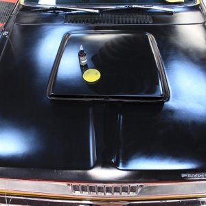 Review: Dr. Beasleys Matte Paint Coating by Mike Phillips