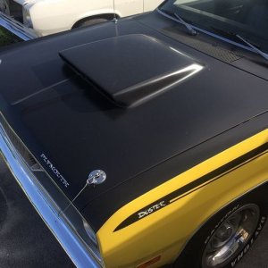 Dr. Beasleys Matte Paint Coating