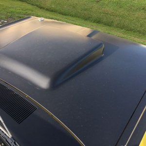 Dr. Beasleys Matte Paint Coating