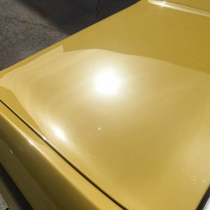 Dr. Beasleys Matte Paint Coating