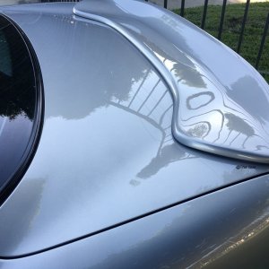Trunk5