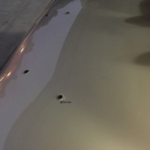 Trunk_2_Step