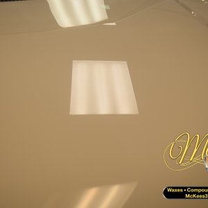 TNTMG-21