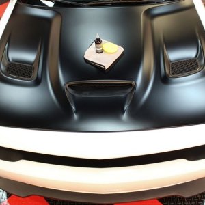 Dr. Beasleys Matte Paint Coating by Mike Phillips