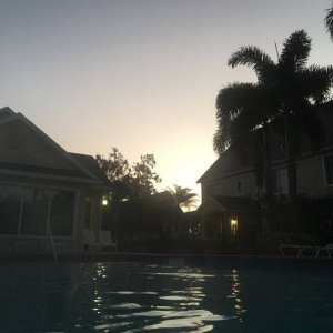 early_swim_01