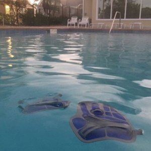 early_swim_02