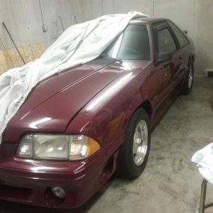 1988_Mustang