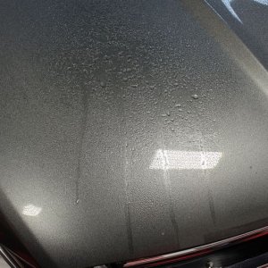 GYEON Q2 ONE Enthusiest Ceramic Coating Mike Phillips