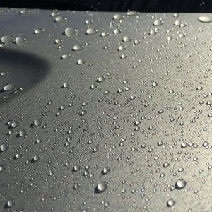 First_Wash_Hood