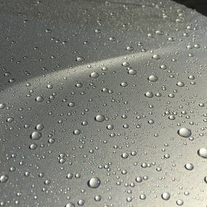 First_Wash_Trunk