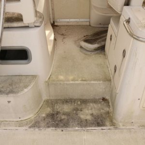 Boston Whaler 305 Conquest Mike Phillips