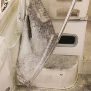Boston Whaler 305 Conquest Mike Phillips