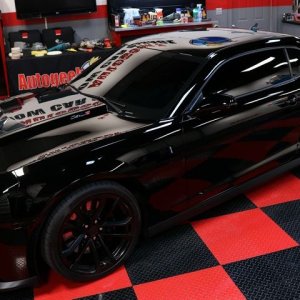 Production Detailing BLACKFIRE ONE STEP BLACK CAMARO