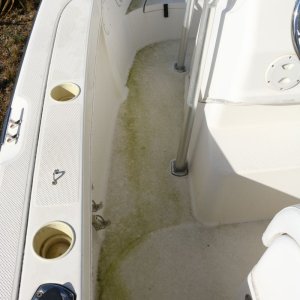 21 Foot Trophy Center Consol Boat Detailing Class Mike Phillips