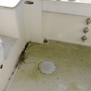 21 Foot Trophy Center Consol Boat Detailing Class Mike Phillips