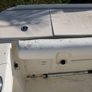21 Foot Trophy Center Consol Boat Detailing Class Mike Phillips